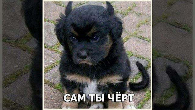 ТОП 25 обманок зрения/ что ты увидел первым??? смотреть онлайн