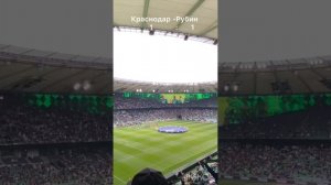 Футбол Краснодар - Рубин