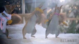 Белки ЗАЖИГАЕМ BELSVET