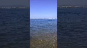 Аляска 460 люкс + мотор болотоход 15 редукторный со сцеплением, винт 13"