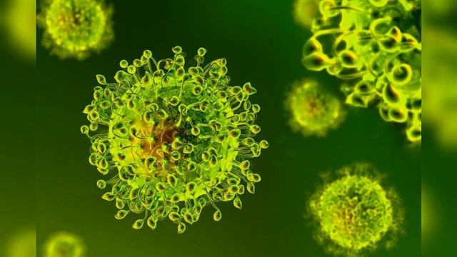 Монстры или хранители: почему вообще существуют вирусы смотреть онлайн