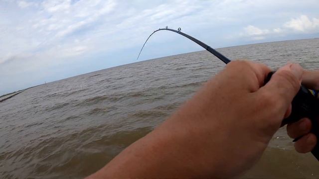 Tons of Redfish but not the right size! (Try the gold spoon gulp combo now!!) смотреть онлайн