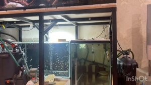 Поездка за аквариумом и подводные камни фильтрации для двух аквариумов по 200 литров