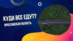 Туризм|Ярославская область|Цифры