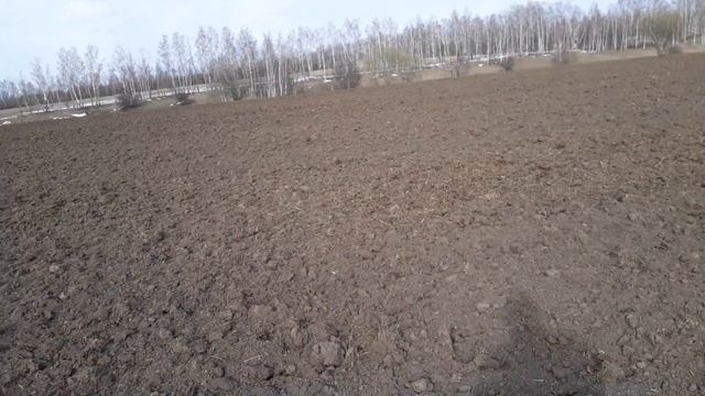 Дискатор по снегу, земле и шарик смотреть онлайн