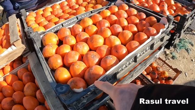 Манас базар 1 Декабря 2022 год. Всем салам люди добрые)) #Манас #manas #dagestan смотреть онлайн