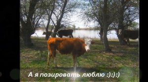 Вобла, р. Бузан, с. Марфино, Володарский р н, Астраханская обл, рыбалка и отдых дикарем