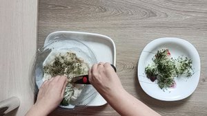 пп питание микрозелень мицуны. залипательно