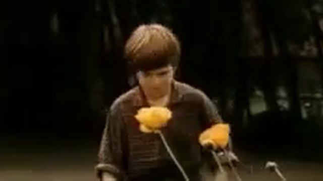Магия черная и белая 1983