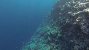 Dahab Blue Hole / Голубая дыра/ ЕГИПЕТ