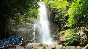 Don Amore Stay here beside me Italo Disco 2022