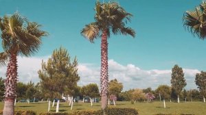 Сколько стоит отдохнуть на пляже в Анаклии и сходить в аквапарк