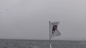 Камчатка 2021. Часть 2. Халактырский пляж и морская прогулка.