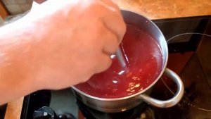 Русская кухня / Брусничный кисель / Рецепт 1861 года