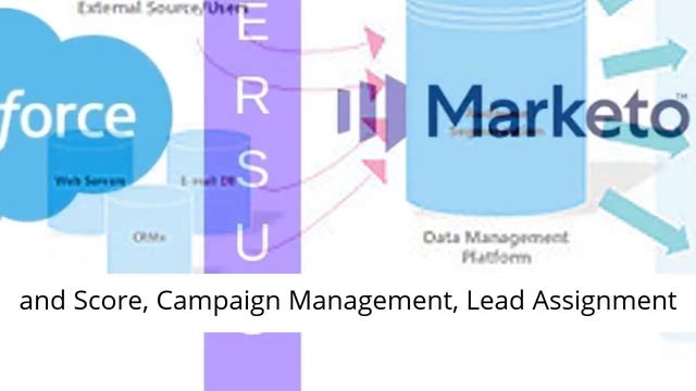 Marketo vs Salesforce CRM and Marketing Automation Platforms смотреть онлайн