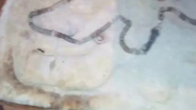 Электроплитка своими руками , видео, самодельная из нихрома смотреть онлайн