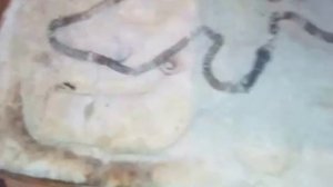 Электроплитка своими руками , видео, самодельная из нихрома