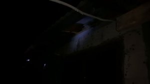 ? "Незваные гости" ? Как избавиться от ос | Уничтожили 500 ос.