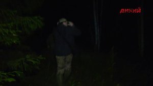 Своя охота. Охота на медведя на овсах в Тверской области.