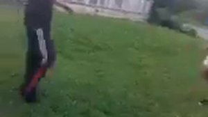 Стрелка школьников..