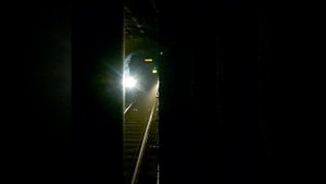 Прибытие метропоезда на станцию метро Площадь Александра Невского 1, Санкт-Петербург
