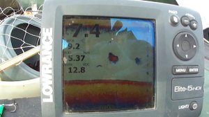 Щука пасет бель. Смотрим эхолот Lowrance Elite 5 HDI