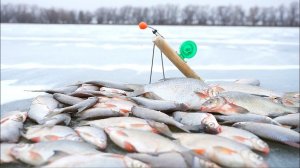 СДЕЛАЛ УДОЧКУ САМ и НАЛОВИЛ МНОГО РЫБЫ. Клёв бешеный.