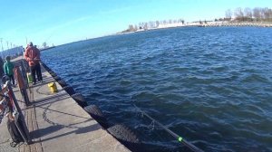 Ловля селедки в Балтийском море.