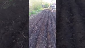 Нарезка грядок.