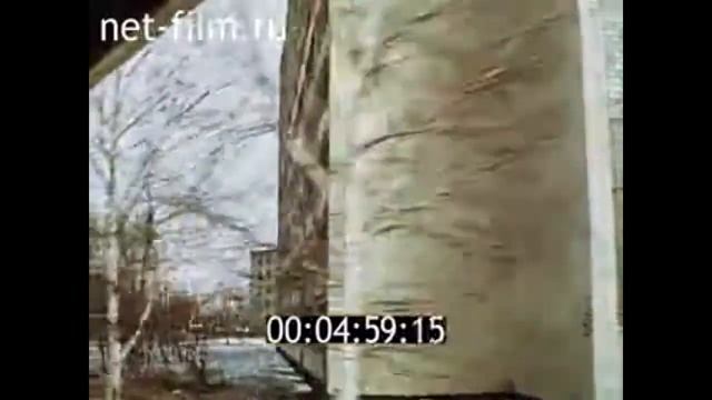1981г. Нижнекамск. ПО "Нижнекамскнефтехим". Н.В. Лемаев
