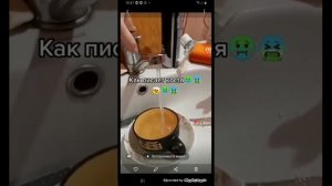 дети в лайке