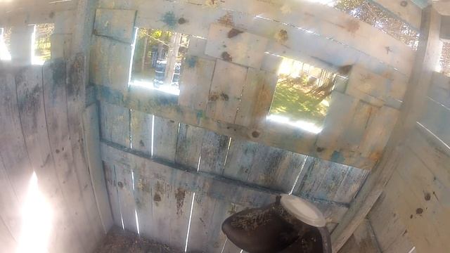 Fall Castle (part 3) смотреть онлайн