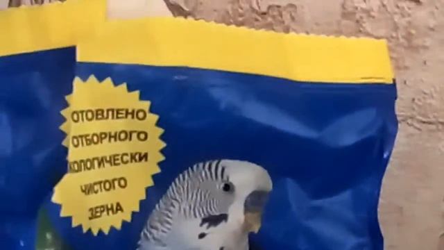 Определение возраста