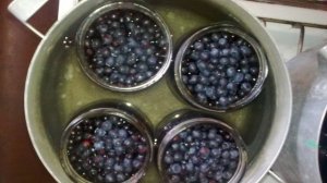 Варенье из черники в собственном соку