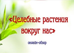 Онлайн-обзор «Целебные растения вокруг нас»