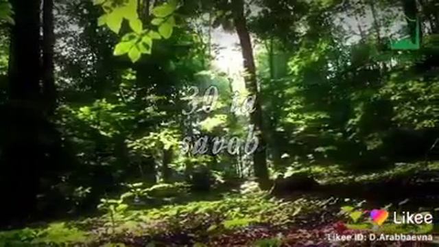 Иншаллах смотреть онлайн