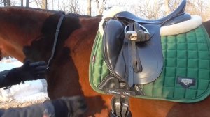 Правильно ли поседлана лошадь? Чек-лист. Проверяем седловку.