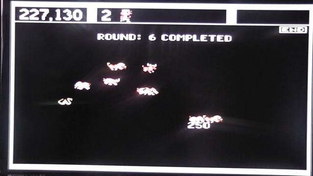 Taito Legends Game 29 - Zoo Keeper (FINALE) смотреть онлайн