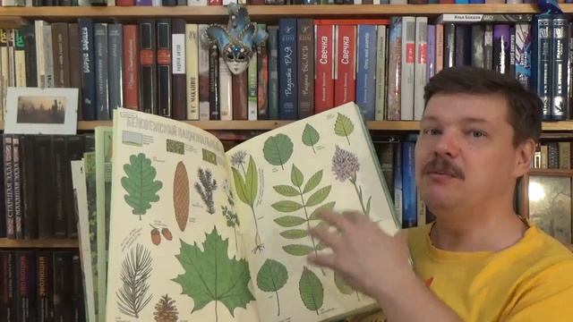 Мизелиньская Александра и Даниэль. По дороге в Йеллоустоун. Необычайное путешествие по паркам мира смотреть онлайн