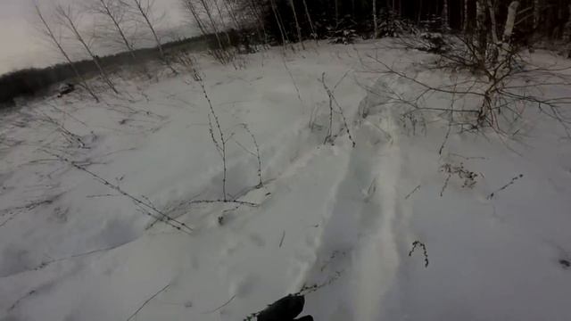 Охота на кабана.(Зима 2018) смотреть онлайн