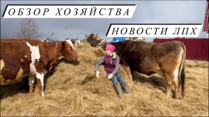 Наш день в деревне! Исправление ошибок