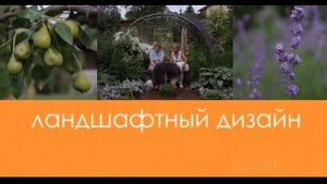 Частный сад Ирины Пыжиковой под Петербургом. Как вырастить неукрывной, малоуходный сад пенсионеру.