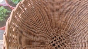 Ампельная петуния.В какое кашпо лучше посадить? Какой обьем кашпо нужен петунии.Мои новые кашпо.