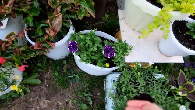 ЛЕТО.СОЛНЦЕ.ЦВЕТЫ.2021 смотреть онлайн