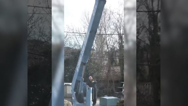 В Сочи спилили 100-летний кипарис ради стройки смотреть онлайн