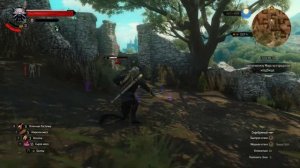 The Witcher 3 убийство альпа