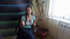 КАК НАЗВАТЬ СОБАКУ? 50 вариантов кличек для йоркширского терьера и других пород.