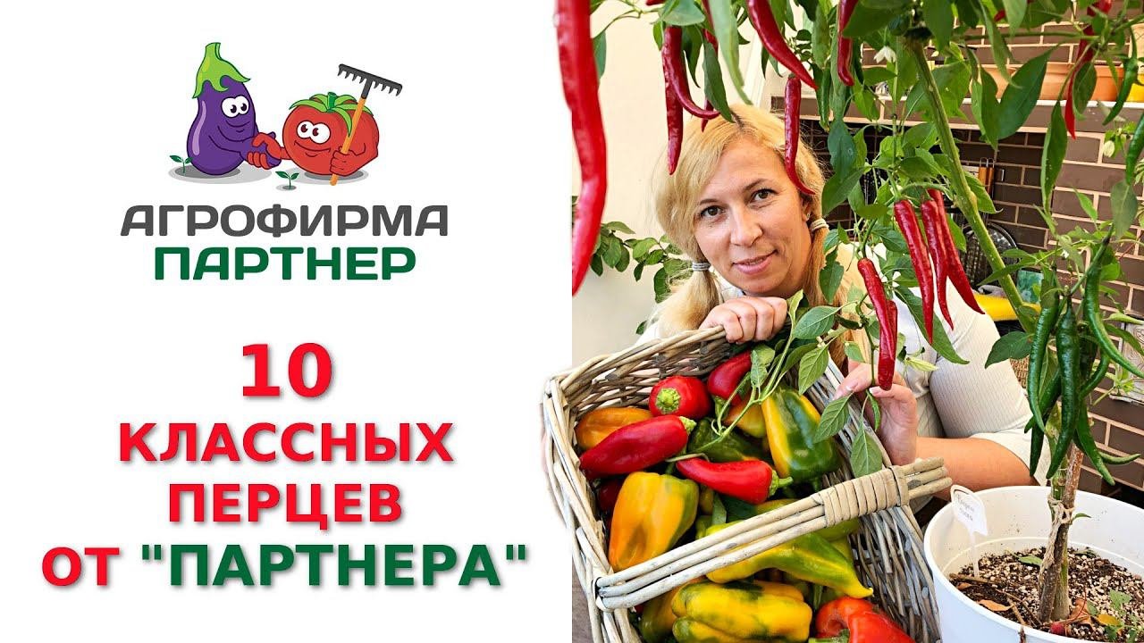 10 КЛАССНЫХ ПЕРЦЕВ ОТ 