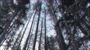 трудный возраст (phonk remix)