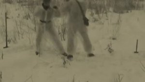 Каннельярви